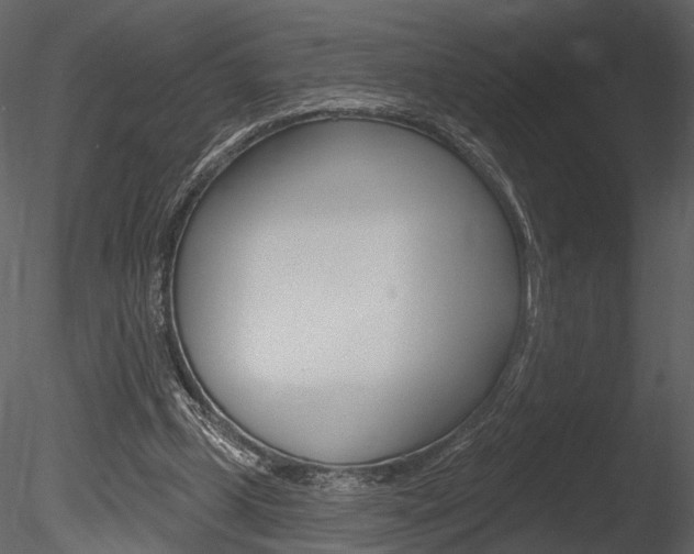 X0000085770249200703160940