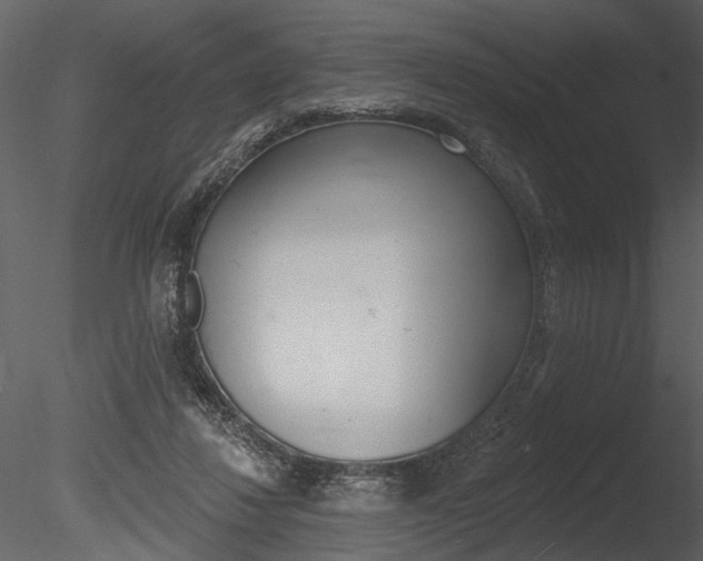 X0000085770260200703160940