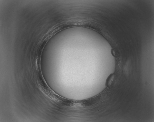 X0000085770262200703160940