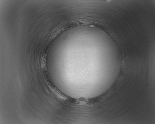 X0000085770285200703160941