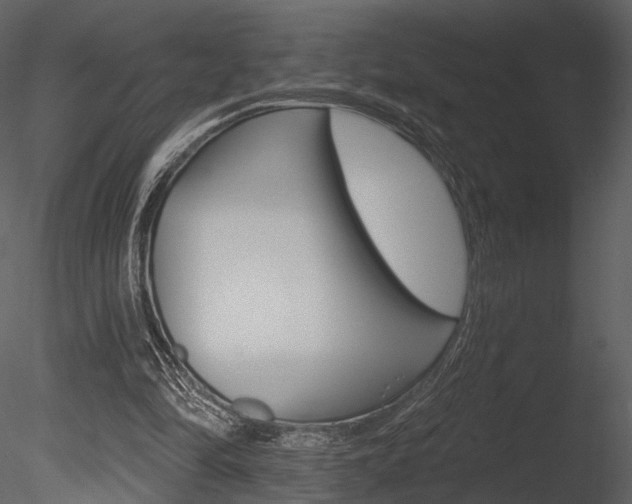 X0000085770294200703160940