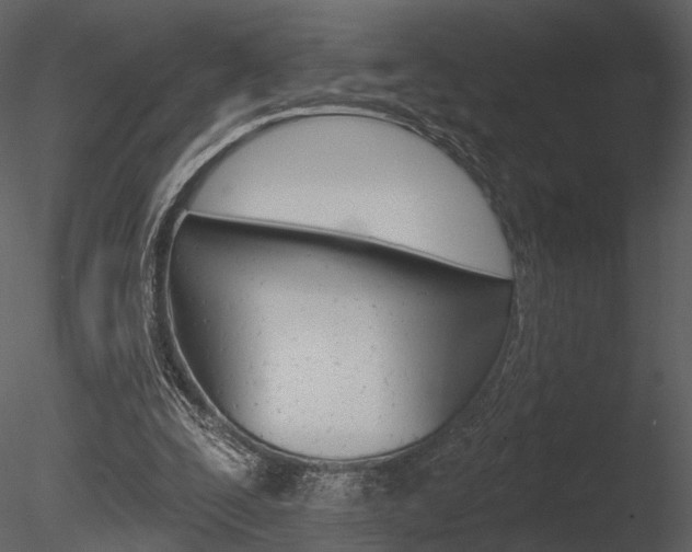 X0000085770295200703160940