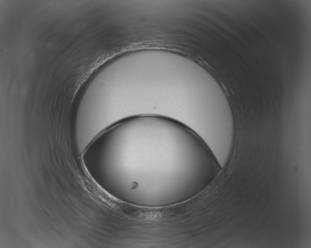 X0000085770301200703160940