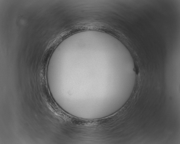 X0000085770306200703160940