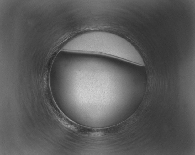 X0000085770309200703160940