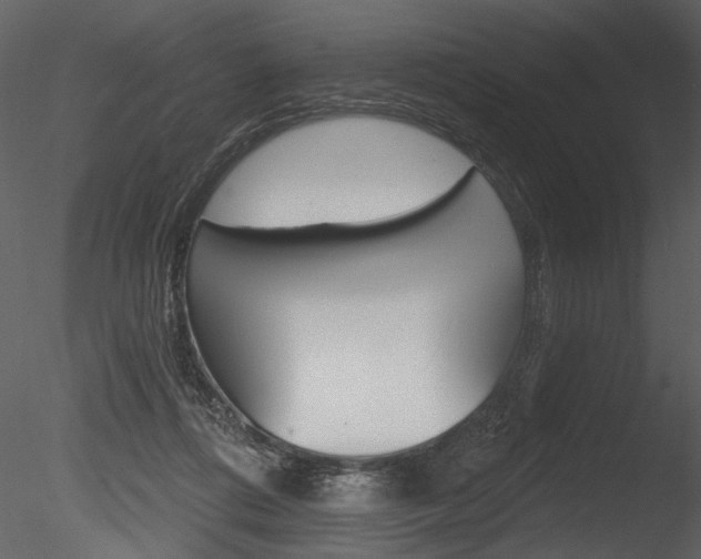 X0000085770312200703160940