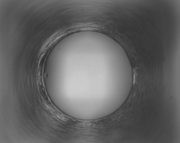 X0000085770339200703160938