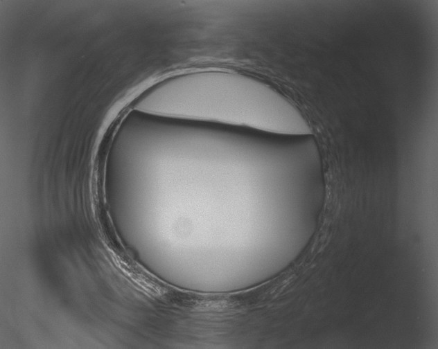 X0000085770342200703160938