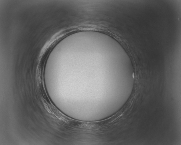 X0000085770343200703160938