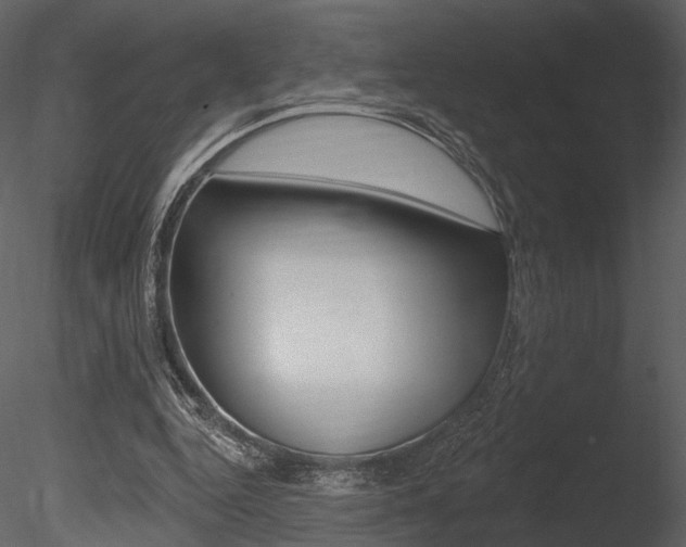 X0000085770344200703160938