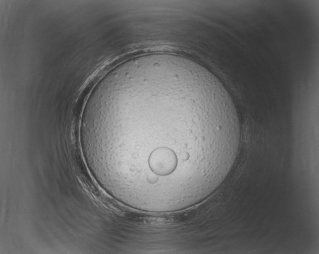 X0000085770347200703160938