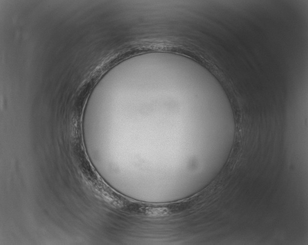 X0000085770355200703160939