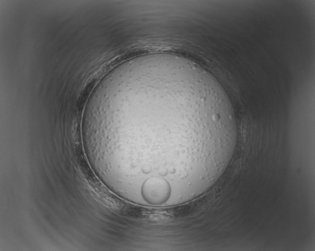 X0000085770359200703160939