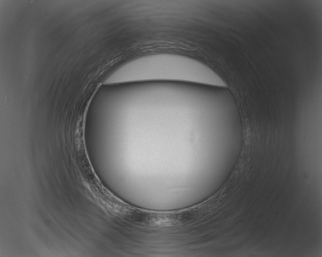 X0000085770360200703160939