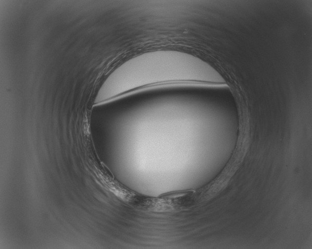 X0000085770384200703160939