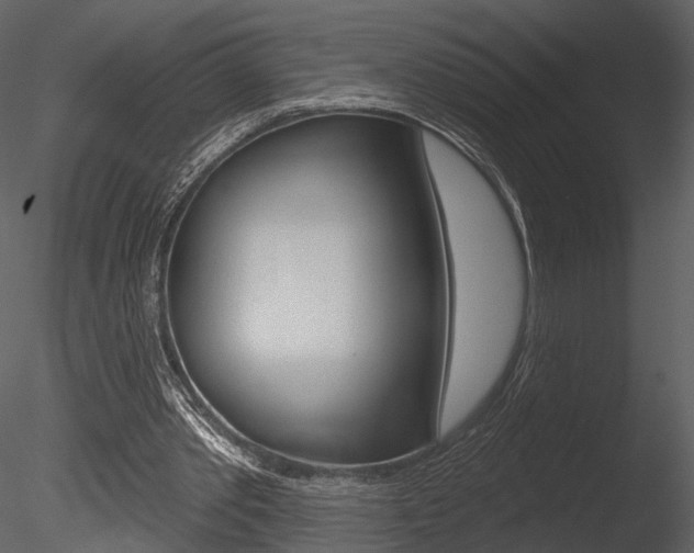 X0000085770389200703160938