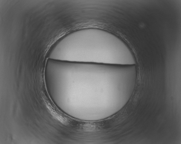 X0000085770394200703160938