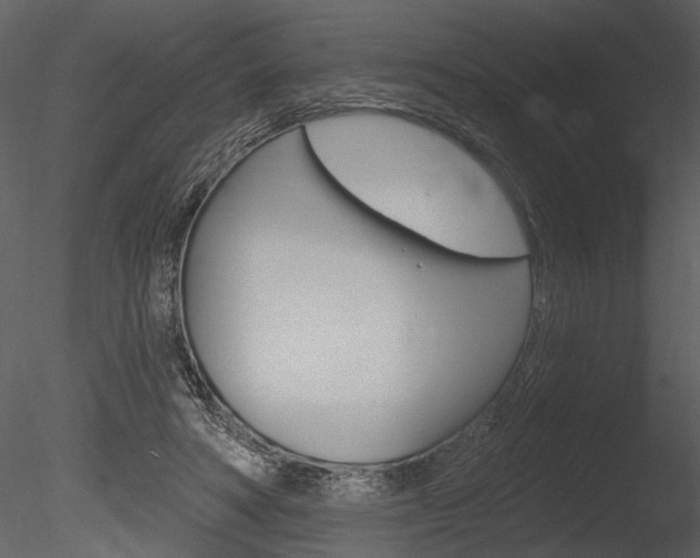 X0000085770402200703160938