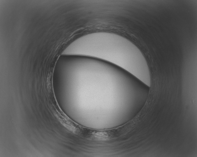 X0000085770409200703160938