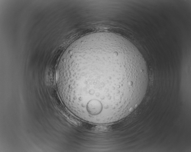 X0000085770418200703160938