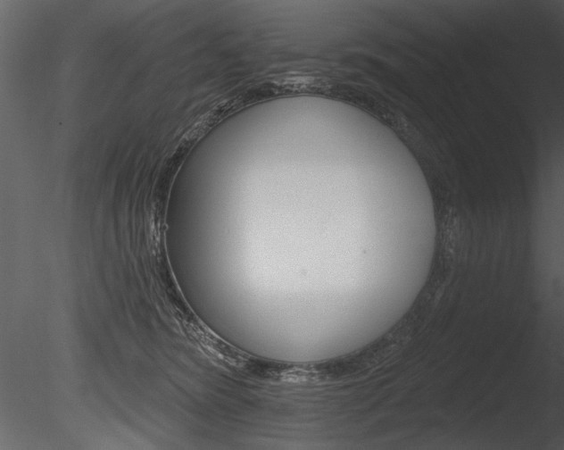 X0000085770420200703160938