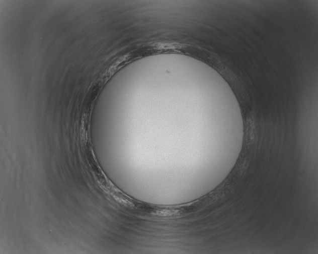 X0000085770422200703160938