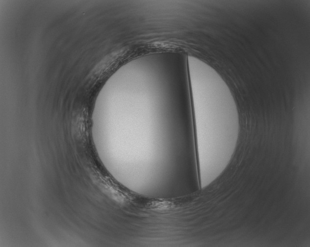 X0000085770424200703160938