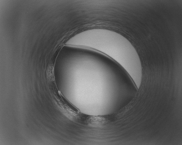 X0000085770429200703160937