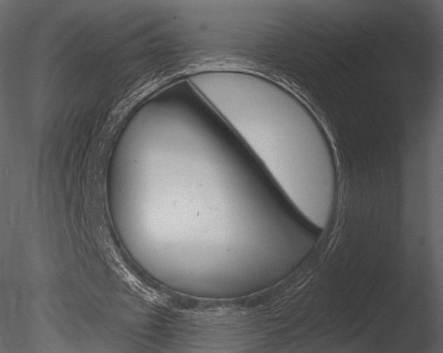 X0000085770433200703160937
