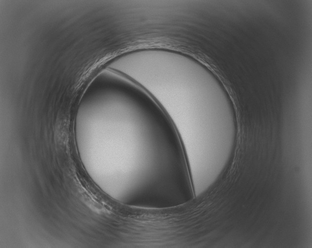 X0000085770434200703160937