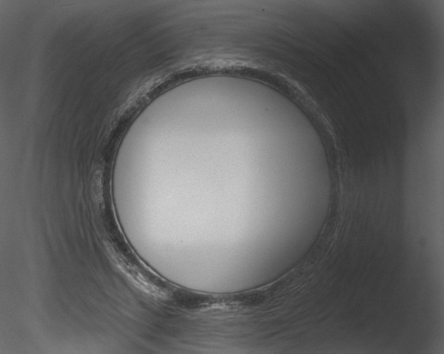 X0000085770447200703160937