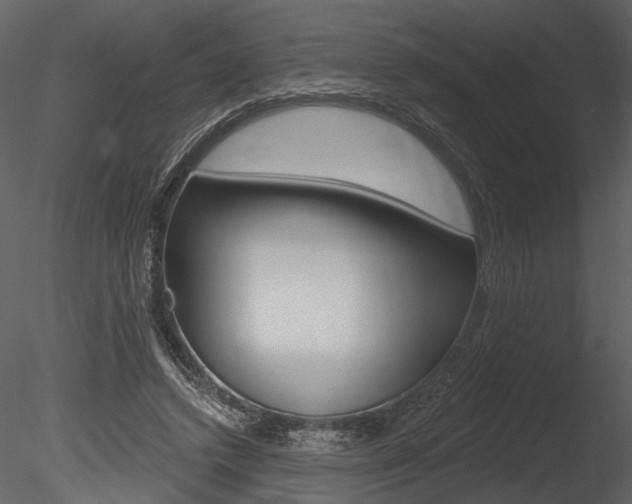 X0000085770448200703160937