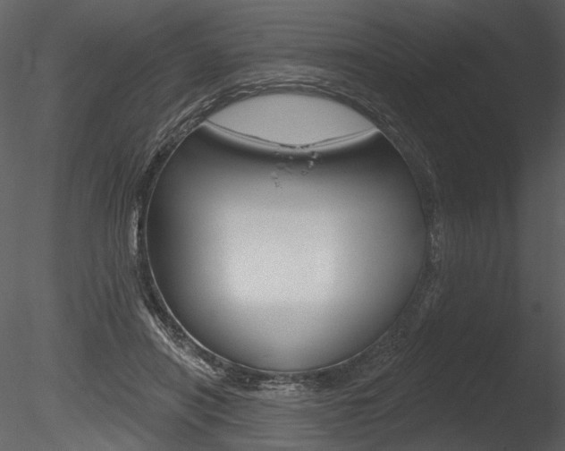 X0000085770454200703160937