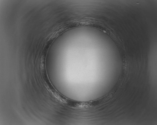 X0000085770466200703160937