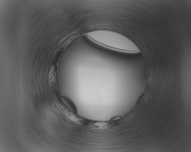 X0000085770478200703160937