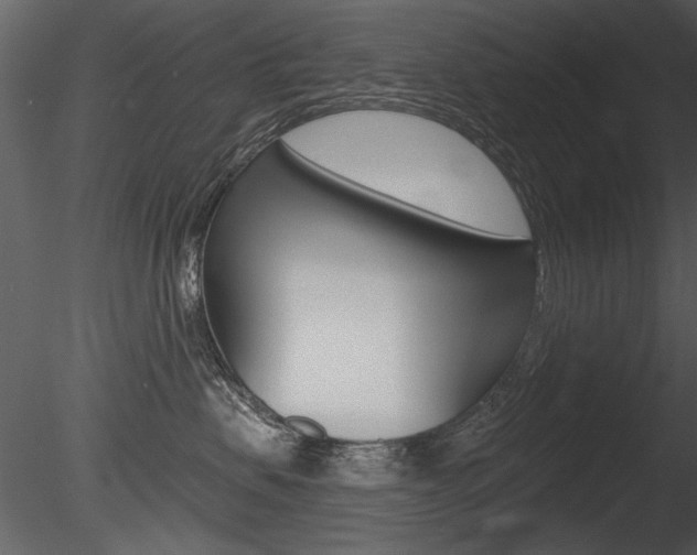 X0000085770479200703160937
