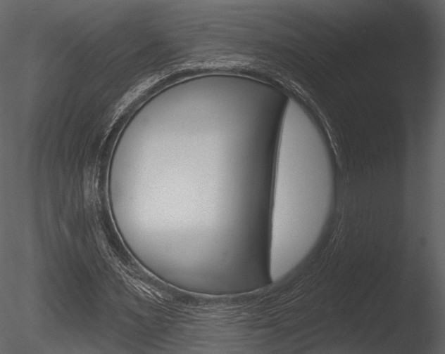 X0000085770483200703160937