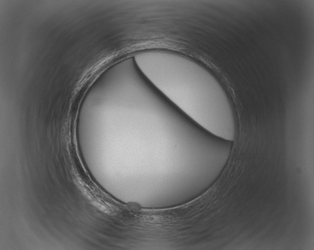 X0000085770486200703160936