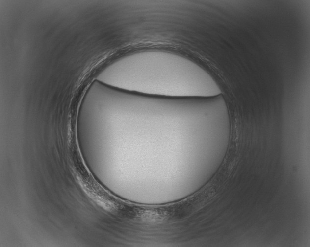 X0000085770494200703160936