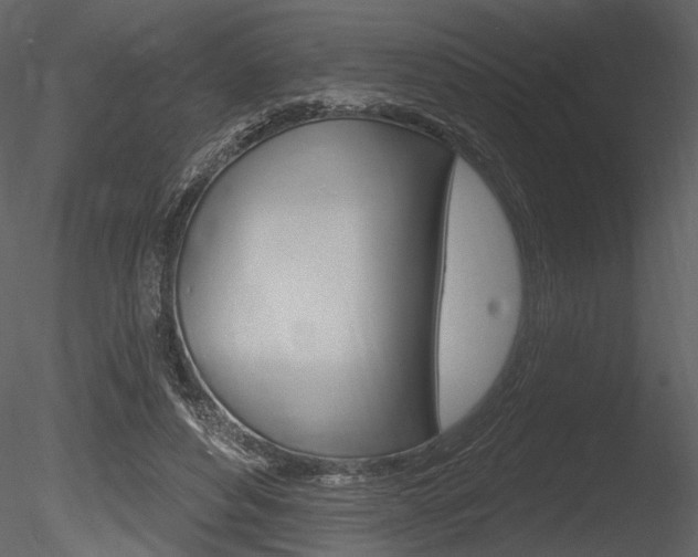 X0000085770496200703160936