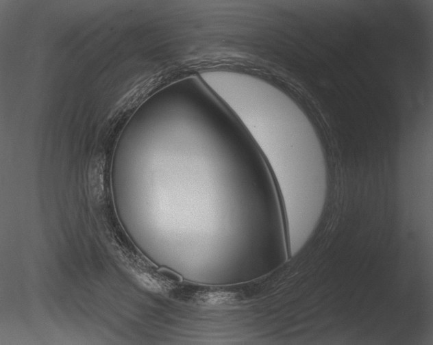 X0000085770501200703160936