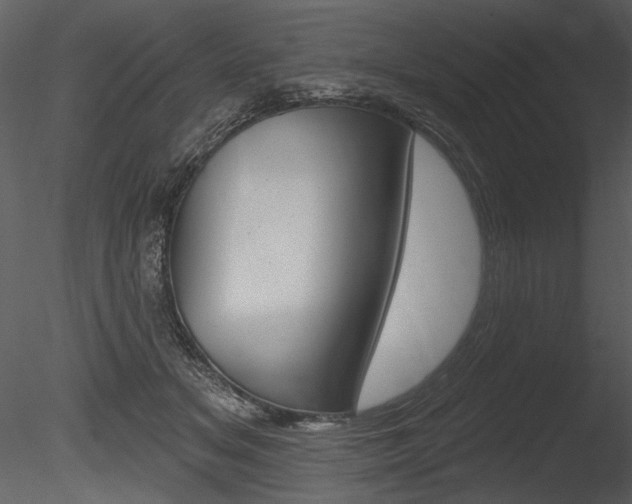 X0000085770509200703160936
