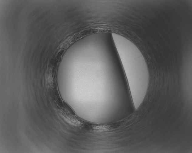 X0000085770516200703160936