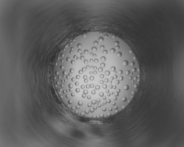 X0000085770519200703160936