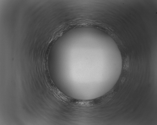 X0000085770524200703160936