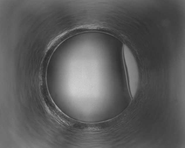 X0000085770536200703160935