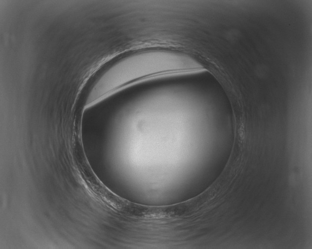 X0000085770540200703160935