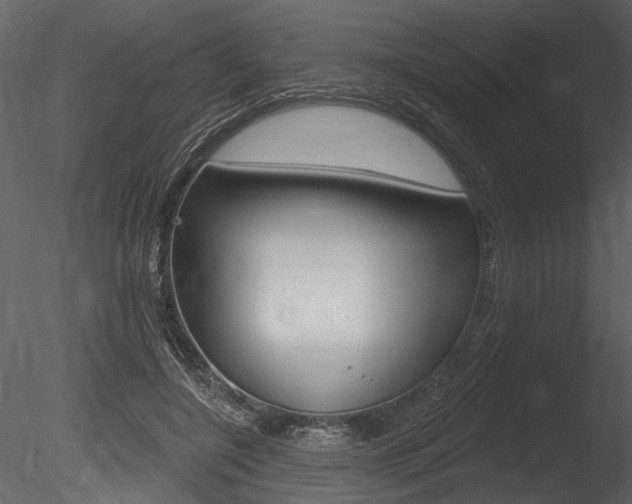 X0000085770548200703160935