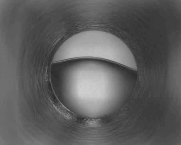 X0000085770560200703160935