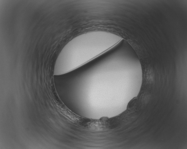 X0000085770567200703160936